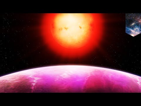 Monster planet found: Gas giant NGTS-1b is biggest ever to orbit tiny star - TomoNews
